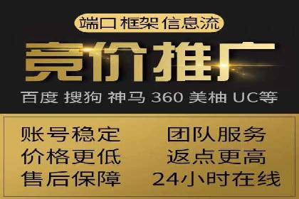 成功运用SEM服务实现品牌快速成长的案例